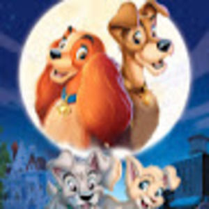 Meet your Posher, Jillian